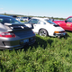Illustration for article titled Concours Delegance: Cobble Beach 2013 Photo Dump